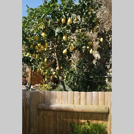 Apartamento La Casa Di Irene : Un Giardino Sul Mare Monterosso al Mare